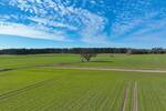 Mehrfamilienhaus, Wohnhaus Arendsee (Altmark) Neulingen - 1 Zimmer, 409 m&sup2;, 394.000&euro; | Angebot:26161158