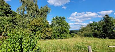 EXKLUSIVER PLATZ IN ATTRAKTIVEM WOHNORT - Grundstück Schwäbisch Gmünd Herlikofen | Angebot:26319930