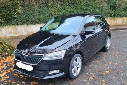 Skoda Fabia 99.000 km 8.399 &euro; Bielefeld 33611