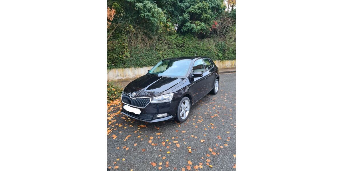 Skoda Fabia 99.000 km 8.399 &euro; Bielefeld 33611