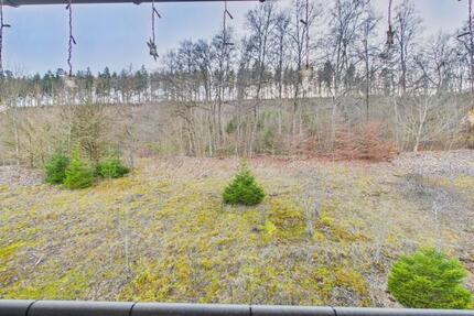 Wohnung Immendingen - 5 Zimmer, 106 m&sup2;, 340.000&euro; | Angebot:26751430