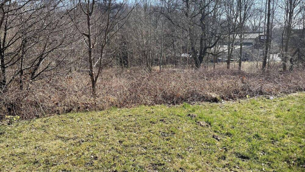 Grundstück Beiersdorf - 35.000&euro; | Angebot:25704845