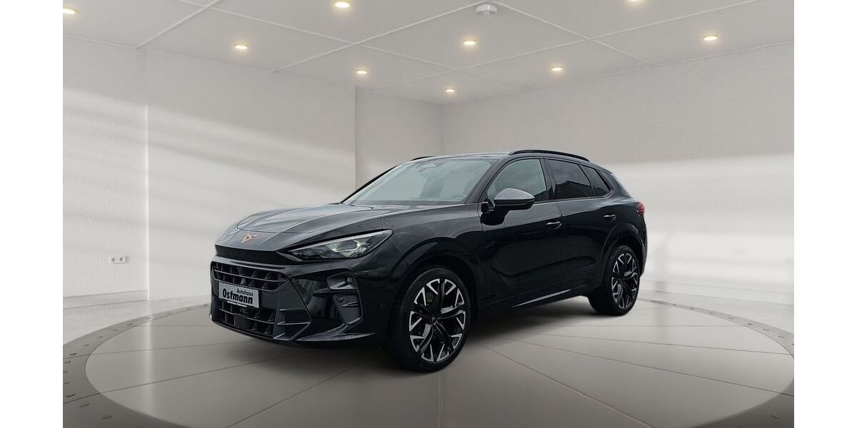 Cupra Terramar 14.100 km 41.448 &euro; Schwalmstadt 34613