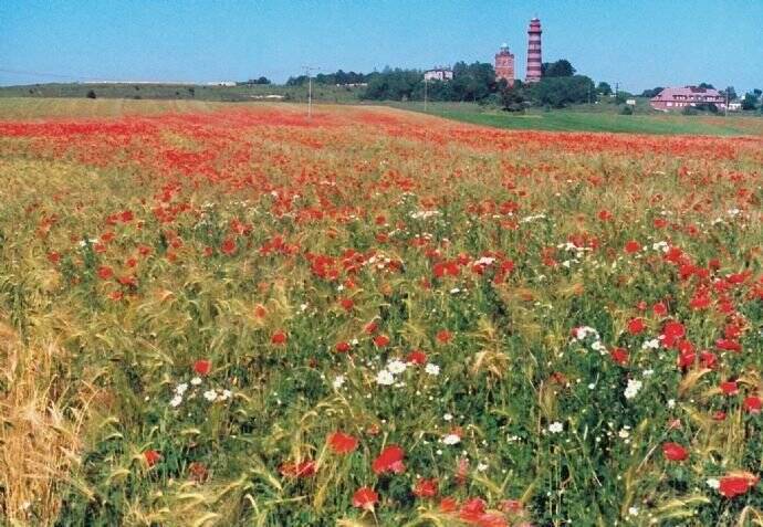 Einfamilienhaus Binz - 3 Zimmer, 330.000&euro; | Angebot:25725604
