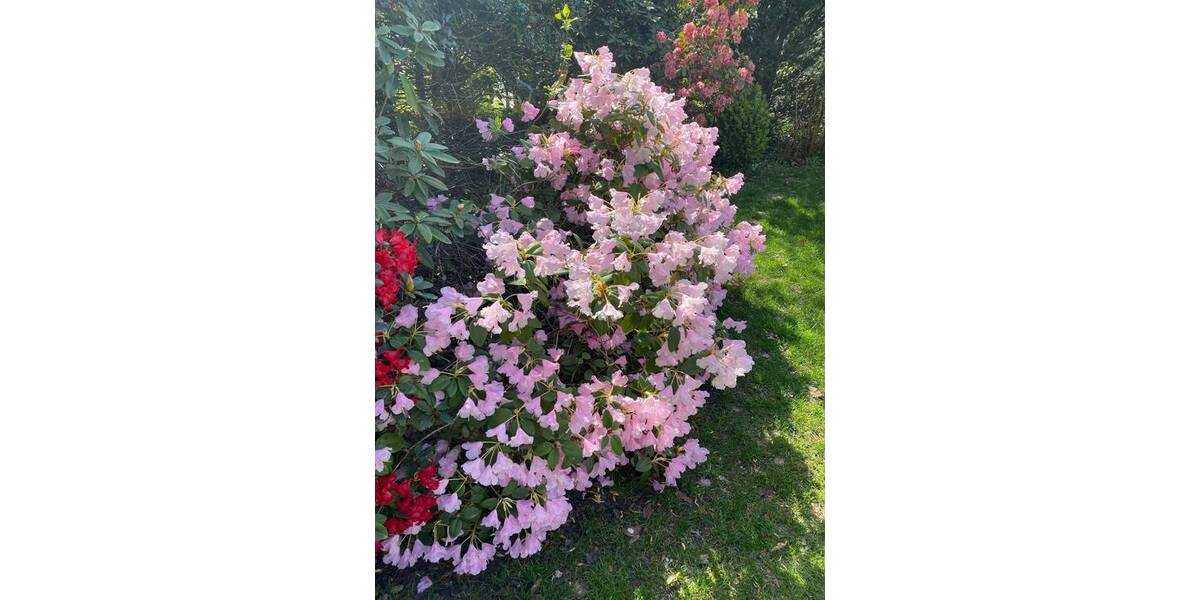 Grundstück Buchholz in der Nordheide Sprötze - 635.000&euro; | Angebot:24113865