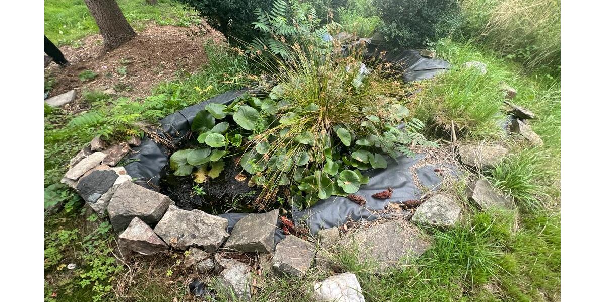 ***Vier rechte Hände gesucht - mit Muskelkraft und Geschick ins Eigenheim*** zimmer