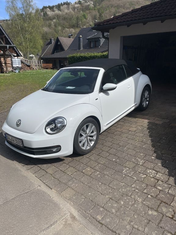 Beetle