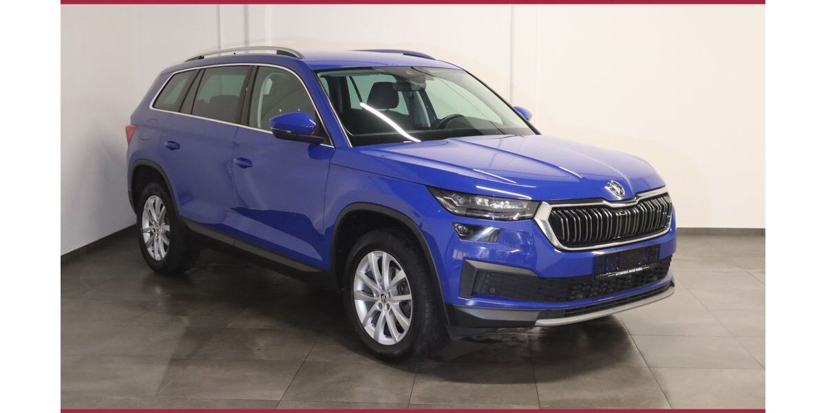 Skoda Kodiaq 162.900 km 24.900 &euro; Bebra 36179