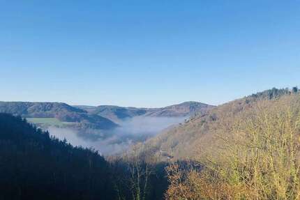 Wohnung zum Mieten in Nideggen 485 € 57 m² 1 zimmer