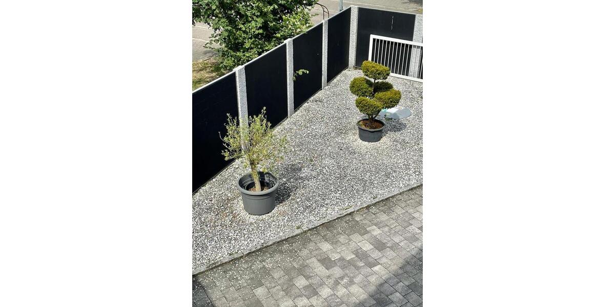 Einfamilienhaus Pfedelbach - 5.5 Zimmer, 240 m&sup2;, 850.000&euro; | Angebot:25869575