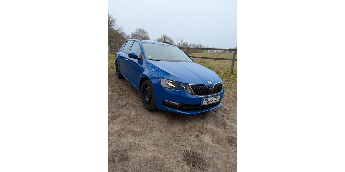 Skoda Octavia 156.500 km 13.999 &euro; Flensburg 24937