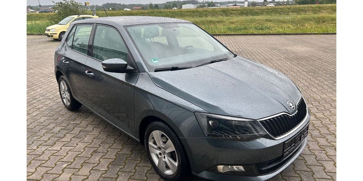 Skoda Fabia 125.000 km 6.900 &euro; Eggenfelden 84307