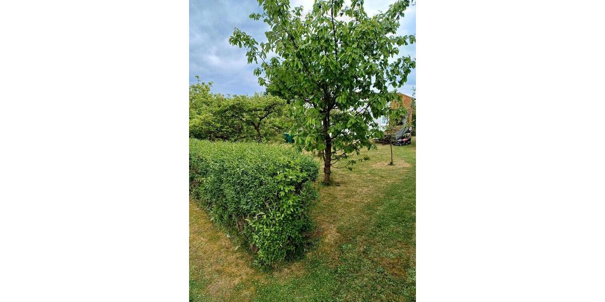 Grundstück Bleicherode - 8.800&euro; | Angebot:26126243