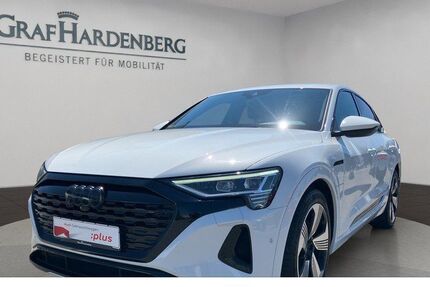 Audi Q8 e-tron 103.200 km 39.930 &euro; Singen 78224