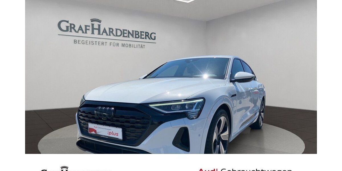 Audi Q8 e-tron 103.200 km 39.930 &euro; Singen 78224