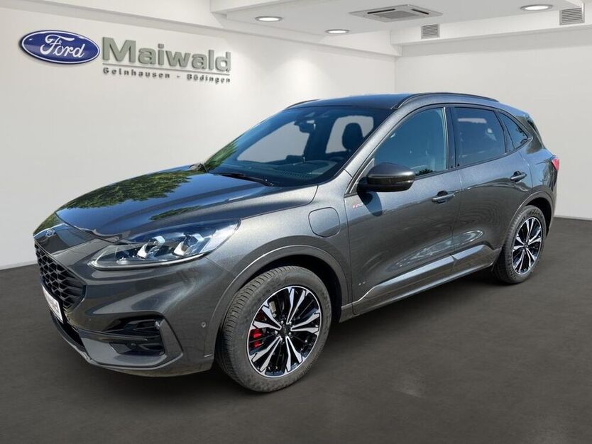 Kuga