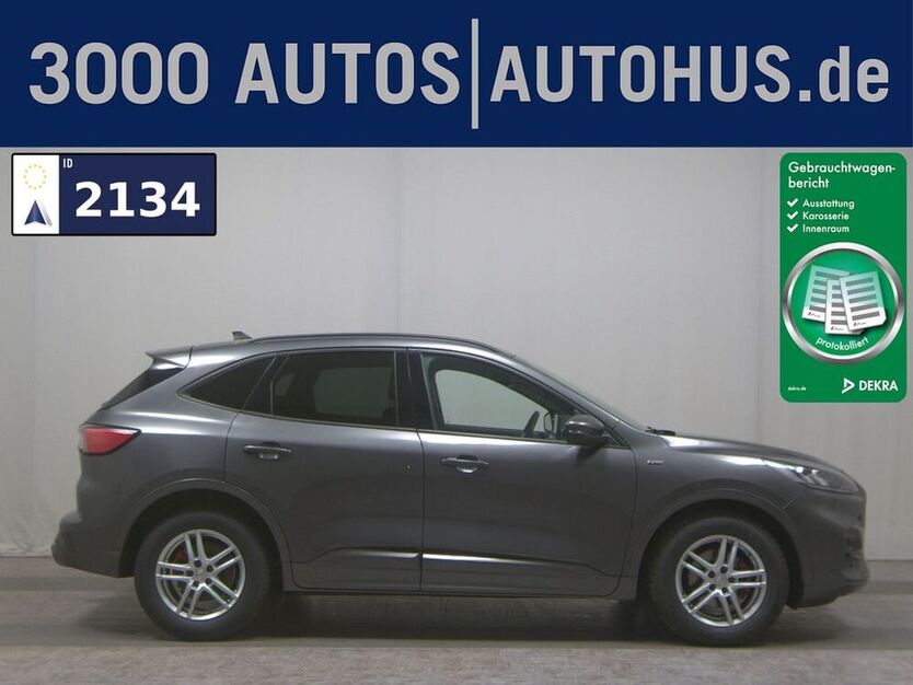 Kuga