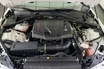 Alfa Romeo Giulia 2.0 Turbo Veloce Q4 Allrad CarPlay 19.700 km 36.450 &euro; Lich 35423