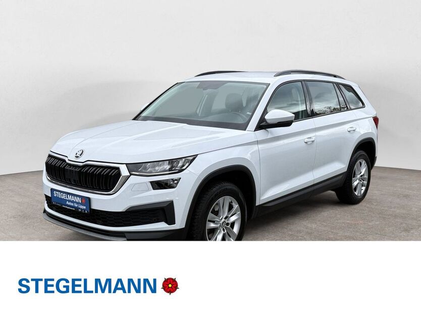 Skoda Kodiaq 35.619 km 29.770 € Detmold 32756