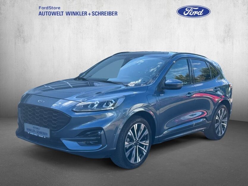 Kuga