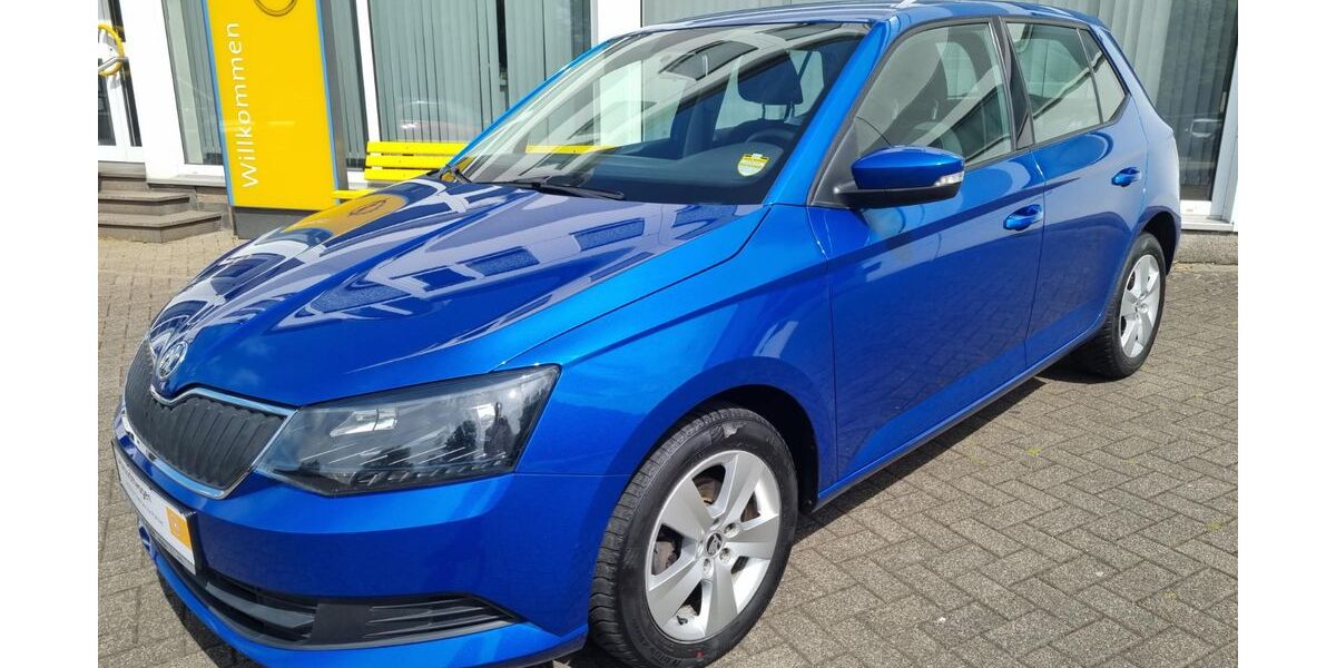 Skoda Fabia 92.500 km 8.987 &euro; Pelm 54570