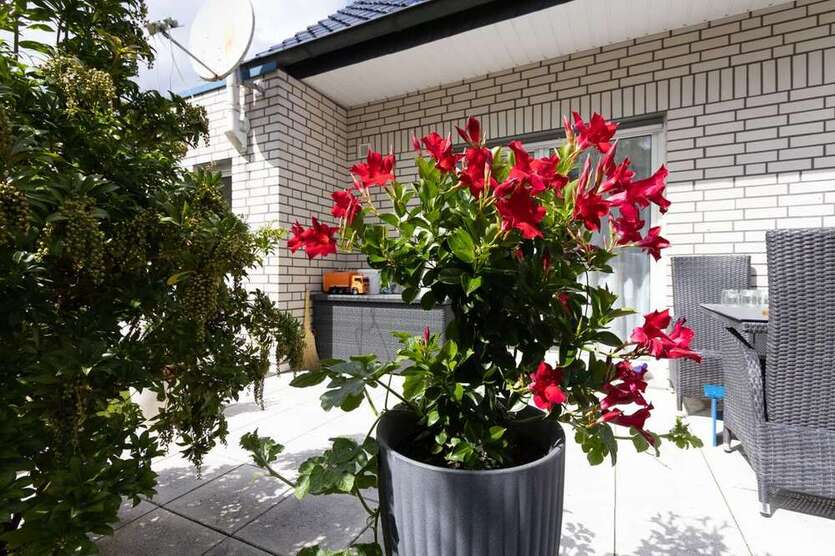Haus zum Kaufen in Ostercappeln 439.000 € 174 m²