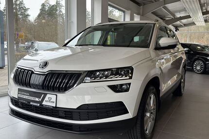 Skoda Karoq 79.708 km 20.950 &euro; Wendelstein 90530