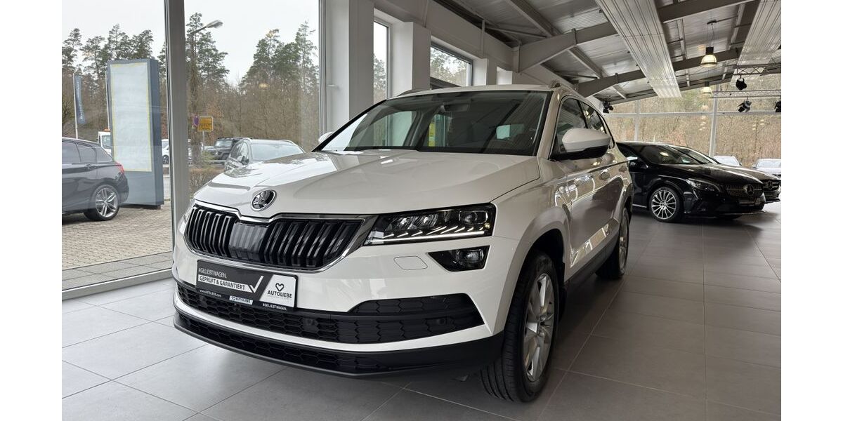 Skoda Karoq 79.708 km 20.950 &euro; Wendelstein 90530