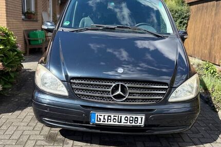 Mercedes Viano