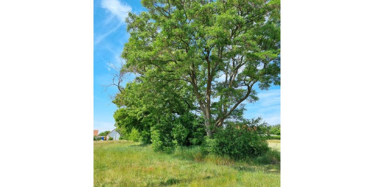 Grundstück Neißeaue OT Kaltwasser Kaltwasser - 31.500&euro; | Angebot:25681053