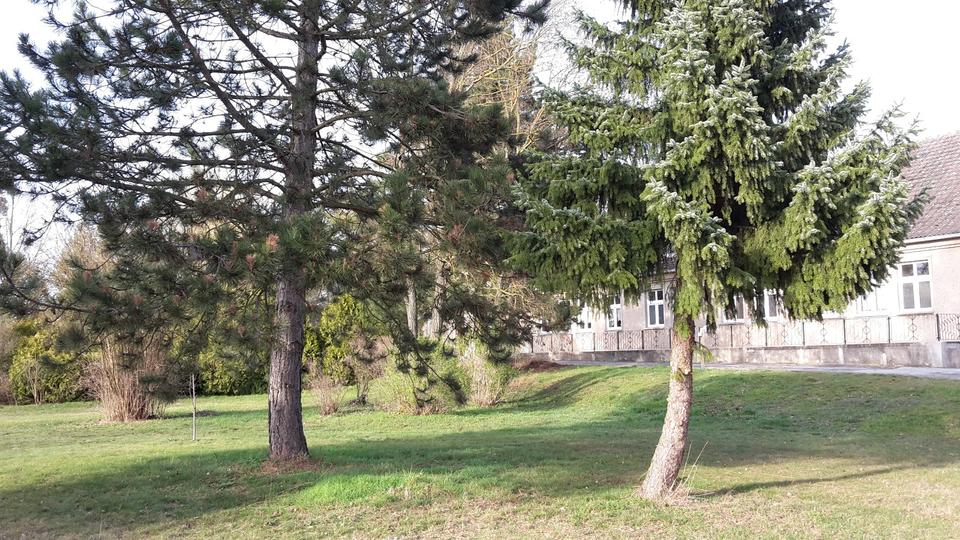 Einfamilienhaus Schönhausen (Elbe) - 10 Zimmer, 900 m&sup2;, 250.000&euro; | Angebot:24629720