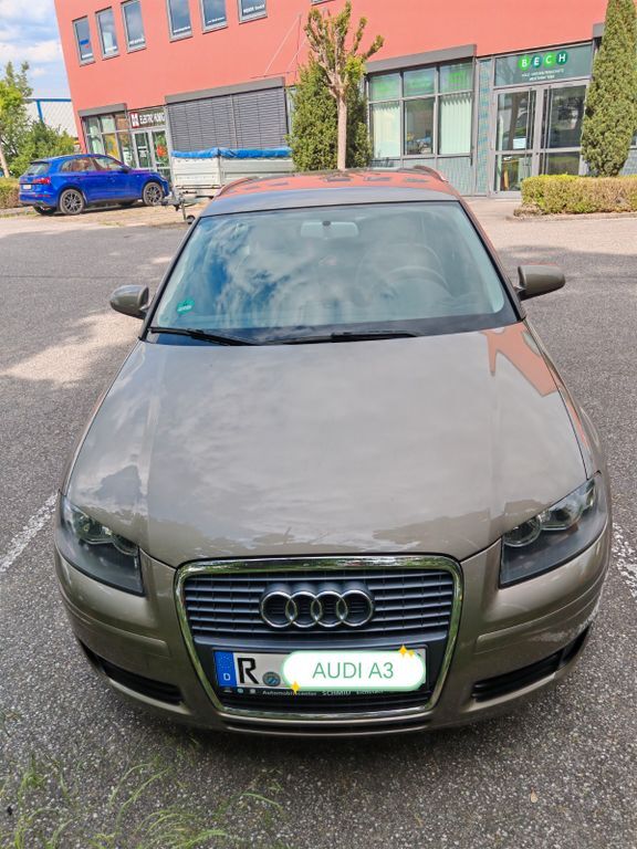 A3