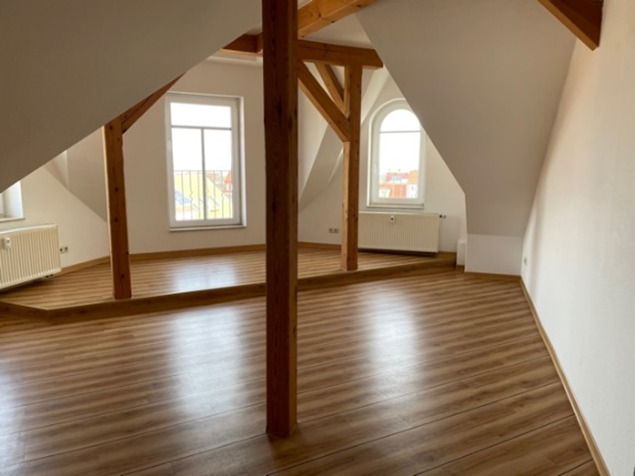 Gewerbeobjekt Riesa Innenstadt - 690.000&euro; | Angebot:25688441