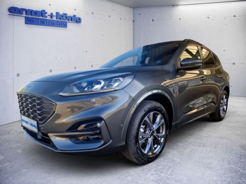 Kuga