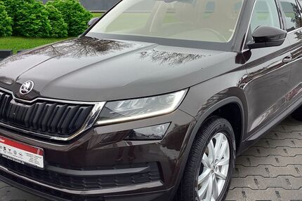 Skoda Kodiaq 137.138 km 19.870 &euro; Marktredwitz 95615