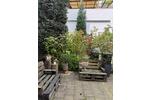 Gewerbeobjekt Osnabrück Hellern - 890&euro; | Angebot:26451344