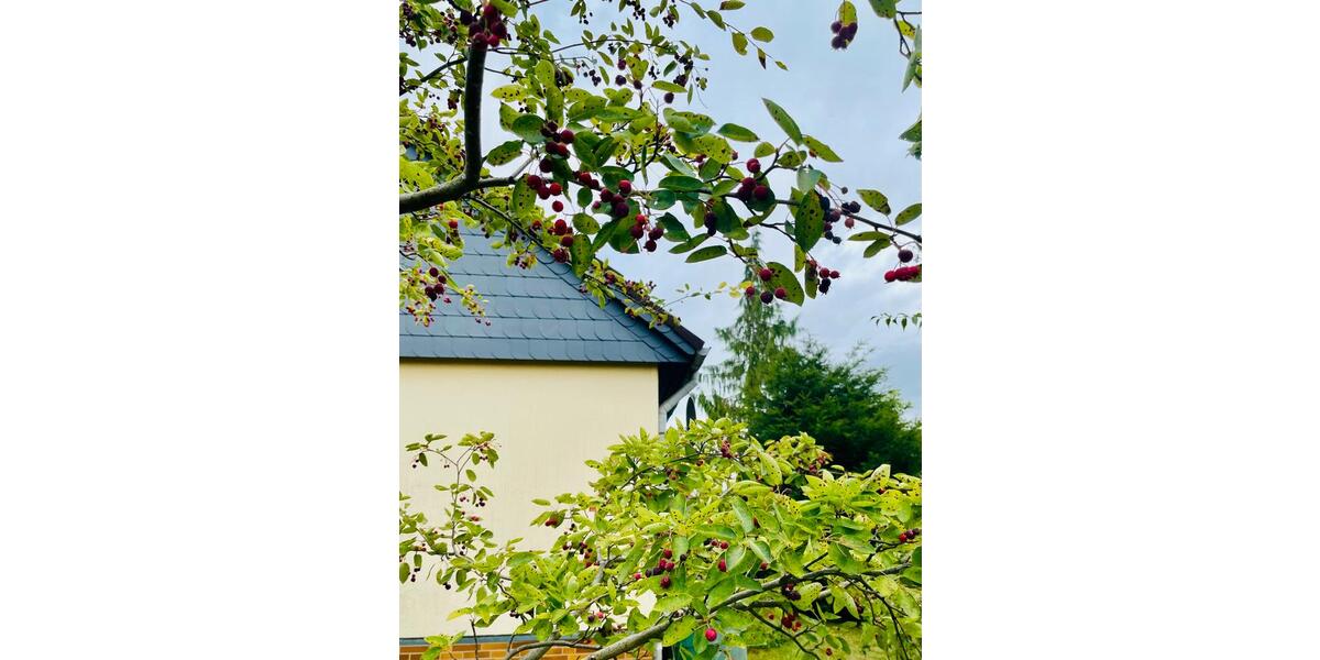 Einfamilienhaus Bad Sachsa - 8 Zimmer, 160 m&sup2;, 250.000&euro; | Angebot:27072405