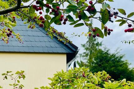Haus Bad Sachsa - 8 Zimmer, 160 m&sup2;, 250.000&euro; | Angebot:27072405