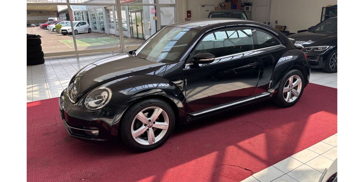 VW Beetle 181.000 km 9.990 € Ludwigshafen 67059