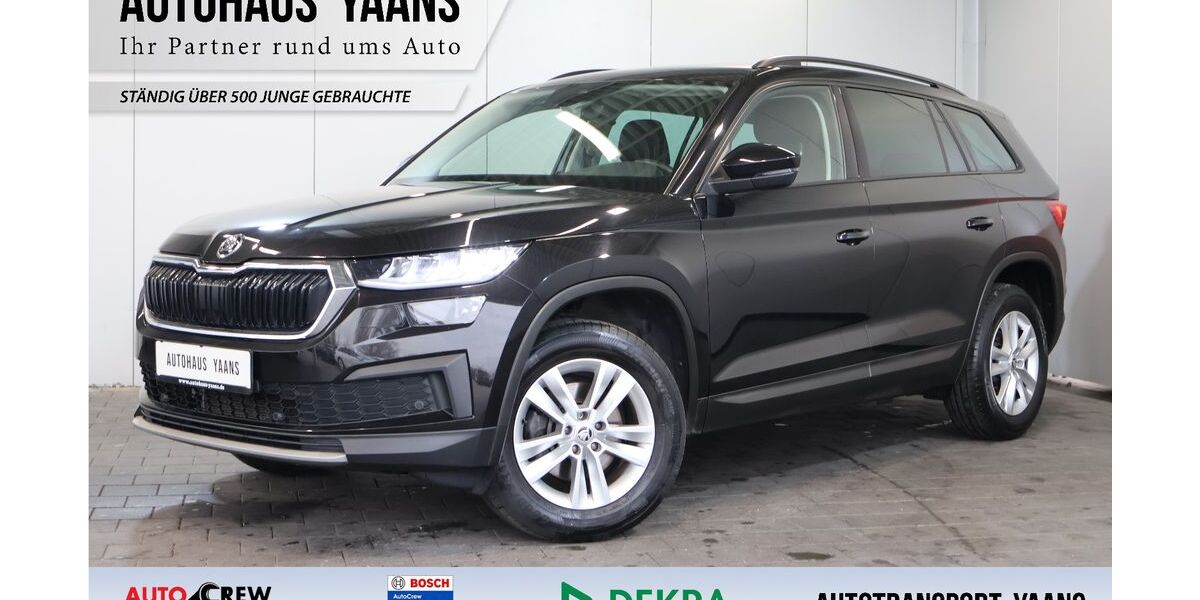 Skoda Kodiaq 114.150 km 25.589 &euro; Pinneberg 25421