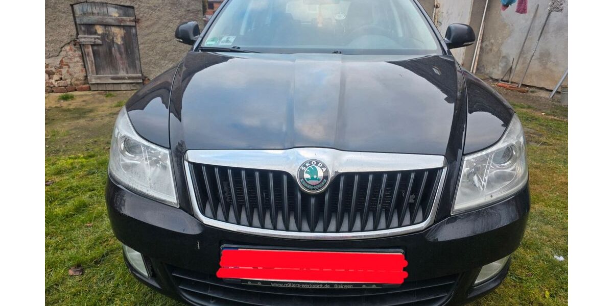 Skoda Octavia 343.681 km 2.690 &euro; Speyer 67346