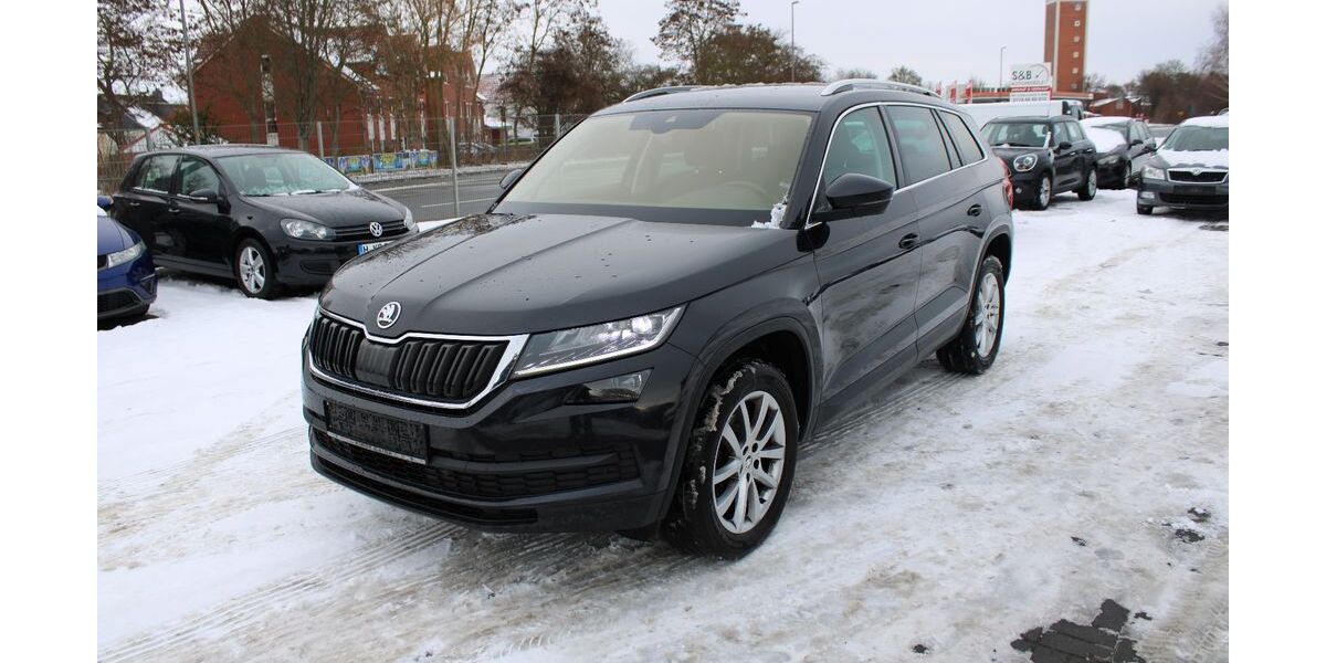 Skoda Kodiaq 290.000 km 15.900 &euro; Ronnenberg 30952