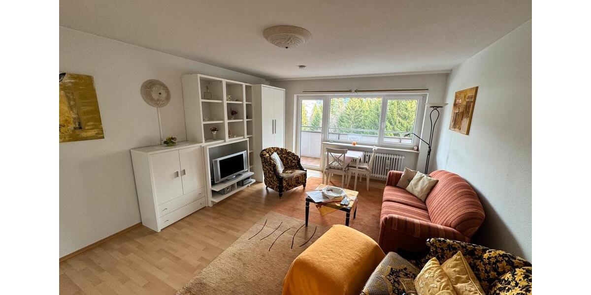 Gepflegte und komplett möblierte 1-Zi-Wohnung mit Fernsicht 1 zimmer