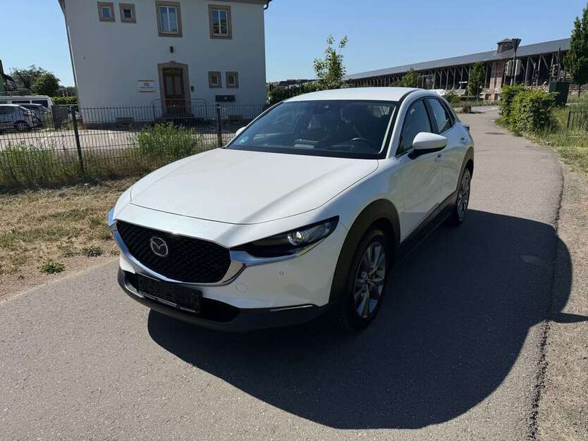 CX-30