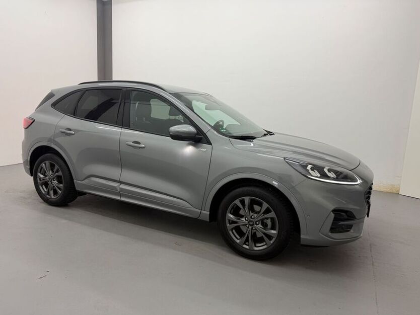 Kuga