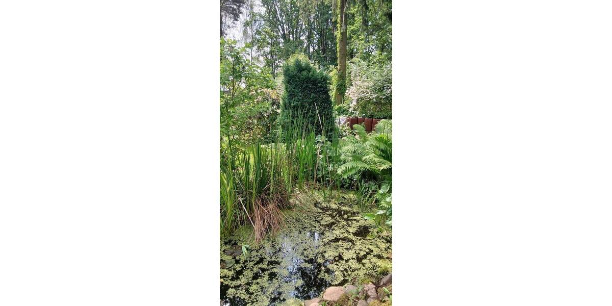Bungalow Storkow (Mark) Alt Stahnsdorf - 2 Zimmer, 28 m&sup2;, 36.800&euro; | Angebot:26824899