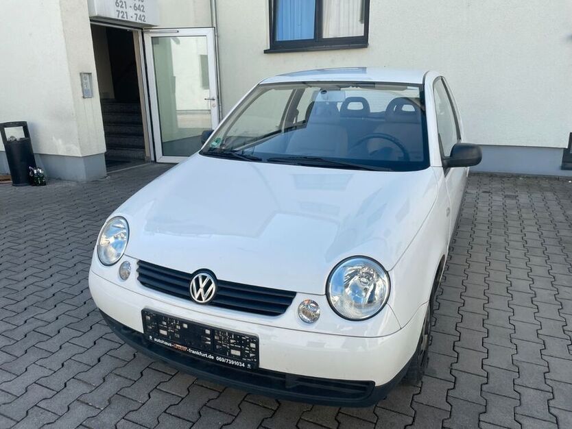 Lupo