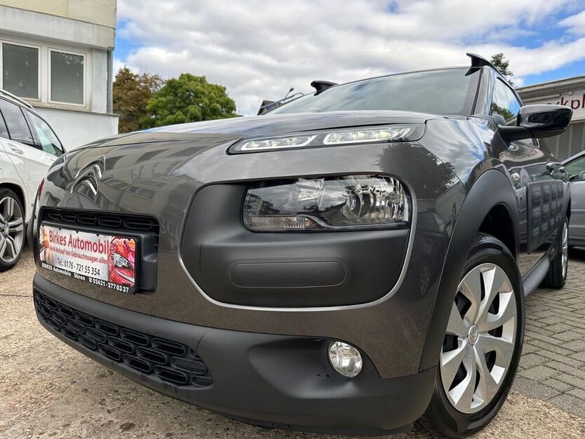 C4 Cactus