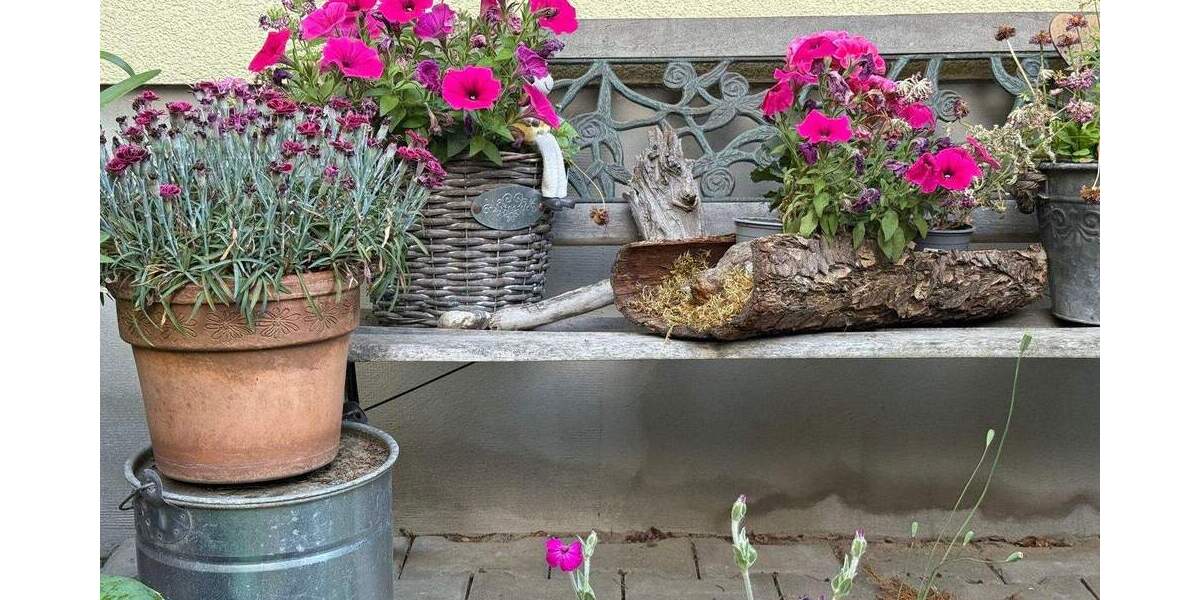 Einfamilienhaus Wandlitz Klosterfelde - 4 Zimmer, 135 m&sup2;, 465.000&euro; | Angebot:25970859