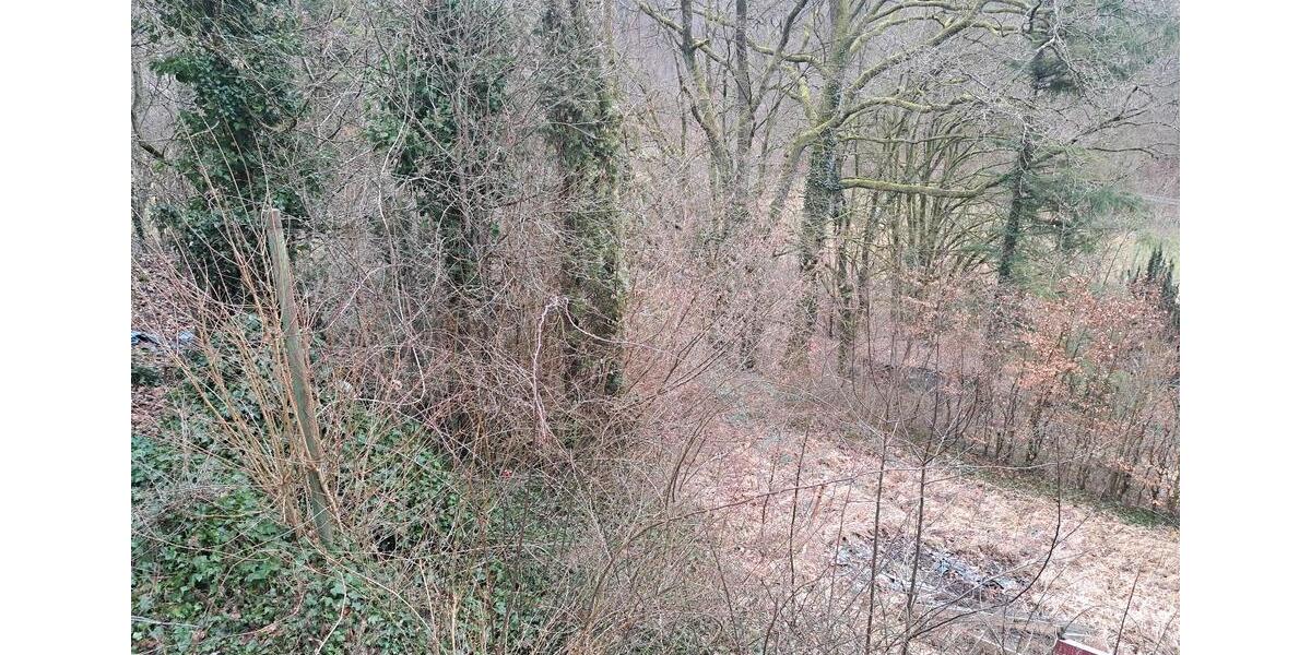 Waldhaus, TinyHaus, Wochenend Ferienhaus, kein fester Wohnsitz 1 zimmer